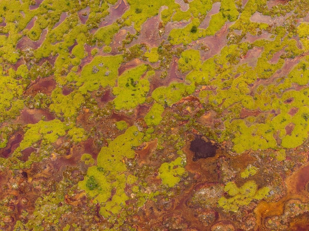 National Geographic estudia las turberas de Tierra del Fuego