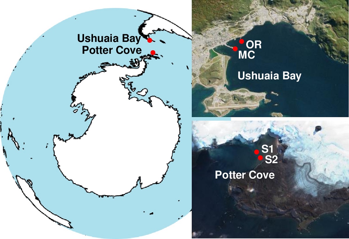 journal.pone.0288509.g001