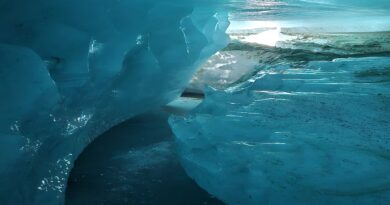 Restringen ingreso a las cuevas de hielo del glaciar Vinciguerra