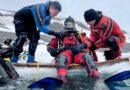 Curso pionero de buceo en aguas polares en la Antártida