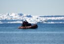 Exploración científica en la Antártida: secretos del fondo marino