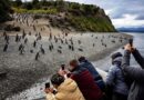 Tierra del Fuego cierra un fin de semana largo con alta ocupación