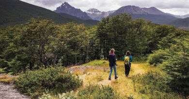 Ushuaia: Un destino, dos santuarios naturales para descubrir
