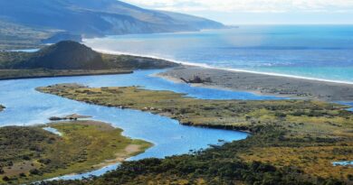 Comenzó la temporada de visitas a la reserva natural de Península Mitre