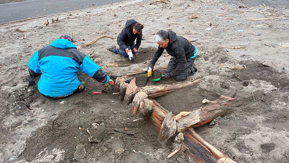 Arqueología: Revelan nuevas claves históricas en la Isla de los Estados